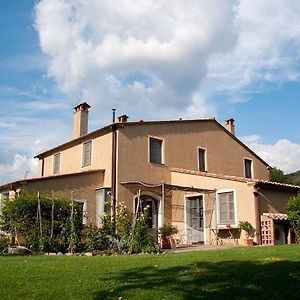 Seven-Bedroom Villa